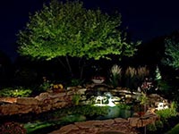 landscape lighting for pools, ponds and spas
