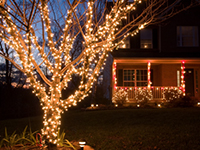 Outdoor Christmas Lighting