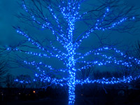 Outdoor Christmas Lighting