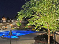 Backyard Landscape Lighting
