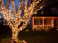 Outdoor Christmas Lighting