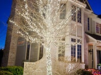 Outdoor Christmas Lighting