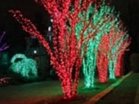 Outdoor Christmas Lighting