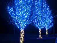 Outdoor Christmas Lighting