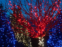 Outdoor Christmas Lighting