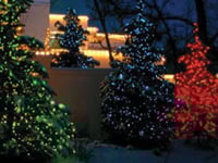 Outdoor Christmas Lighting