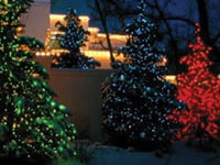 Outdoor Christmas Lighting