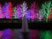 Outdoor Christmas Lighting