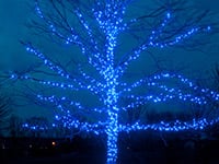 Outdoor Christmas Lighting